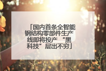 国内首条全智能钢结构零部件生产线即将投产 “黑科技”层出不穷
