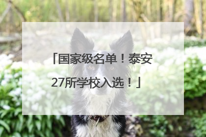 国家级名单！泰安27所学校入选！