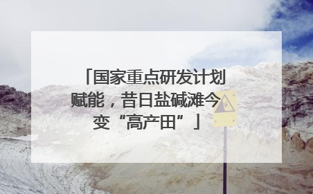 国家重点研发计划赋能，昔日盐碱滩今变“高产田”