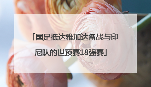 国足抵达雅加达备战与印尼队的世预赛18强赛
