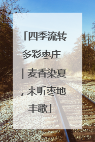 四季流转 多彩枣庄｜麦香染夏，来听枣地丰歌