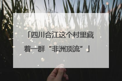 四川合江这个村里藏着一群“非洲顶流”