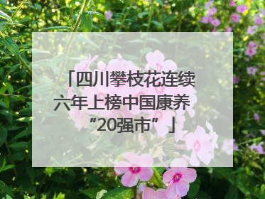四川攀枝花连续六年上榜中国康养“20强市”