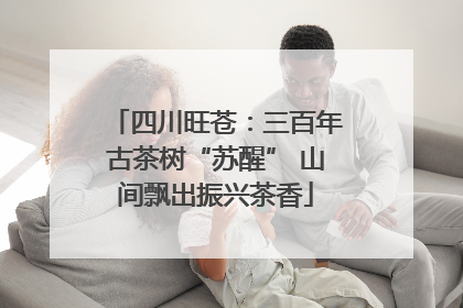 四川旺苍：三百年古茶树“苏醒” 山间飘出振兴茶香