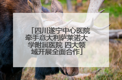 四川遂宁中心医院牵手意大利萨莱诺大学附属医院 四大领域开展全面合作