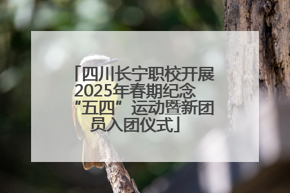 四川长宁职校开展2025年春期纪念“五四”运动暨新团员入团仪式