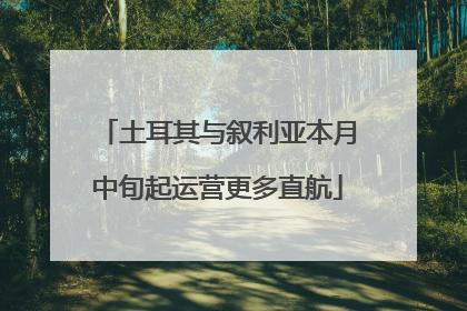 土耳其与叙利亚本月中旬起运营更多直航