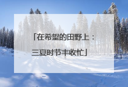 在希望的田野上：三夏时节丰收忙