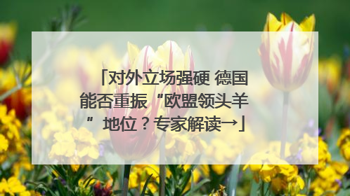 对外立场强硬 德国能否重振“欧盟领头羊”地位？专家解读→