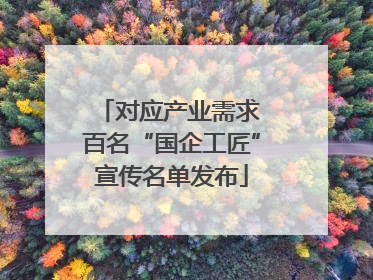 对应产业需求 百名“国企工匠”宣传名单发布
