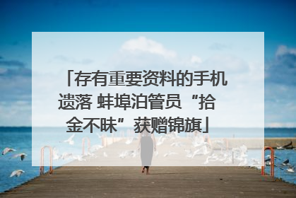 存有重要资料的手机遗落 蚌埠泊管员“拾金不昧”获赠锦旗