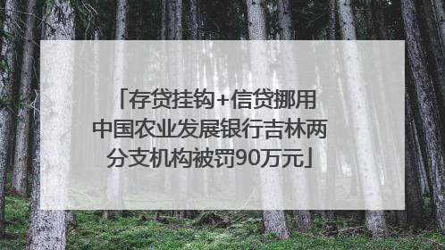 存贷挂钩+信贷挪用 中国农业发展银行吉林两分支机构被罚90万元