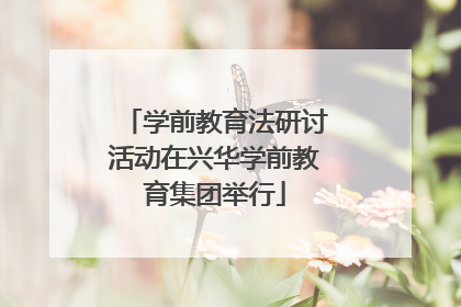 学前教育法研讨活动在兴华学前教育集团举行