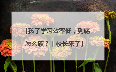 孩子学习效率低，到底怎么破？｜校长来了