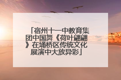 宿州十一中教育集团中国舞《荷叶翩翩》在埇桥区传统文化展演中大放异彩