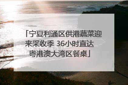 宁夏利通区供港蔬菜迎来采收季 36小时直达粤港澳大湾区餐桌