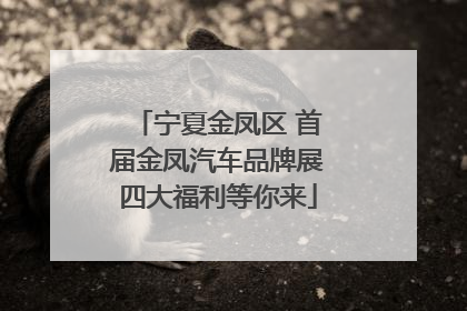 宁夏金凤区 首届金凤汽车品牌展四大福利等你来