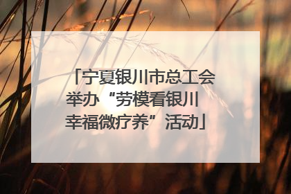 宁夏银川市总工会举办“劳模看银川 幸福微疗养”活动
