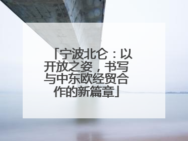 宁波北仑：以开放之姿，书写与中东欧经贸合作的新篇章