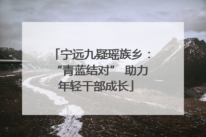 宁远九疑瑶族乡：“青蓝结对” 助力年轻干部成长