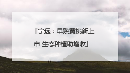 宁远：早熟黄桃新上市 生态种植助增收