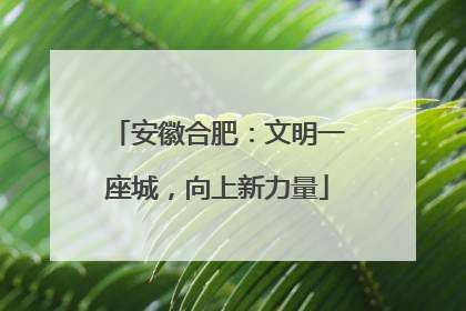安徽合肥：文明一座城，向上新力量