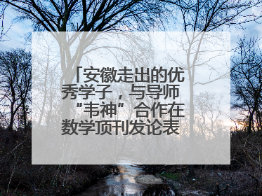 安徽走出的优秀学子，与导师“韦神”合作在数学顶刊发论表重要科研成果