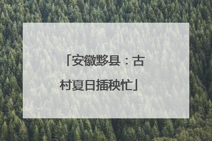 安徽黟县：古村夏日插秧忙
