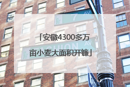 安徽4300多万亩小麦大面积开镰