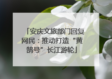 安庆文旅部门回复网民：推动打造“黄鹄号”长江游轮