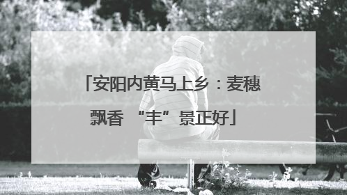 安阳内黄马上乡：麦穗飘香 “丰”景正好
