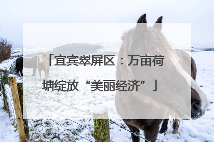 宜宾翠屏区：万亩荷塘绽放“美丽经济”