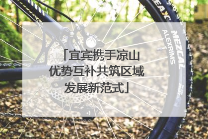 宜宾携手凉山 优势互补共筑区域发展新范式
