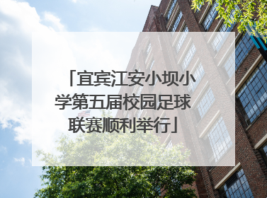 宜宾江安小坝小学第五届校园足球联赛顺利举行