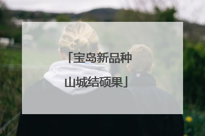 宝岛新品种 山城结硕果
