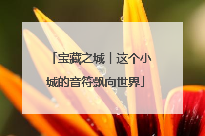 宝藏之城丨这个小城的音符飘向世界