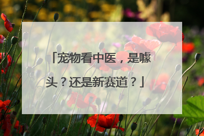 宠物看中医，是噱头？还是新赛道？