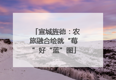 宣城旌德：农旅融合绘就“莓”好“蓝”图