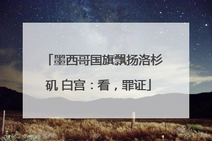 墨西哥国旗飘扬洛杉矶 白宫：看，罪证