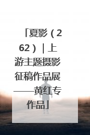 夏影（262）｜上游主题摄影征稿作品展——黄红专作品