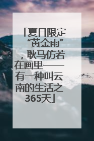 夏日限定“黄金雨”，耿马仿若在画里——有一种叫云南的生活之365天