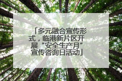 多元融合宣传形式，临港新片区开展“安全生产月”宣传咨询日活动