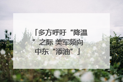 多方呼吁“降温”之际 美军频向中东“添油”