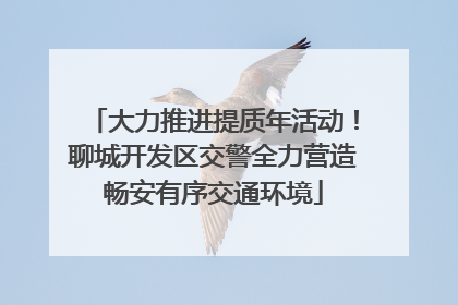 大力推进提质年活动！聊城开发区交警全力营造畅安有序交通环境