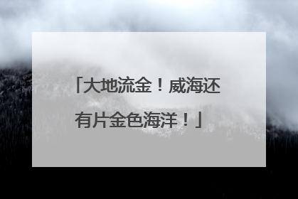 大地流金！威海还有片金色海洋！