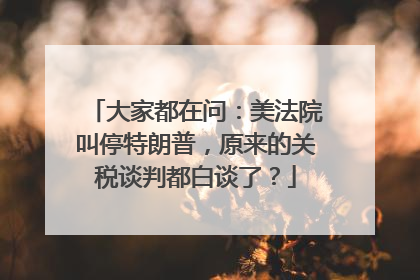 大家都在问：美法院叫停特朗普，原来的关税谈判都白谈了？