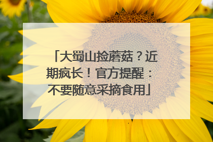 大蜀山捡蘑菇？近期疯长！官方提醒：不要随意采摘食用