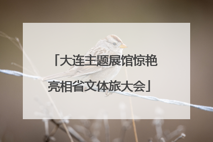 大连主题展馆惊艳亮相省文体旅大会