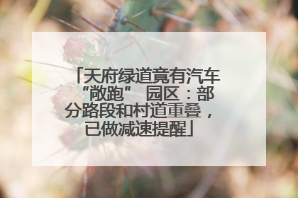 天府绿道竟有汽车“敞跑” 园区：部分路段和村道重叠，已做减速提醒
