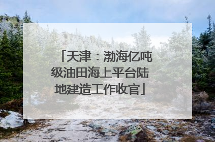 天津：渤海亿吨级油田海上平台陆地建造工作收官